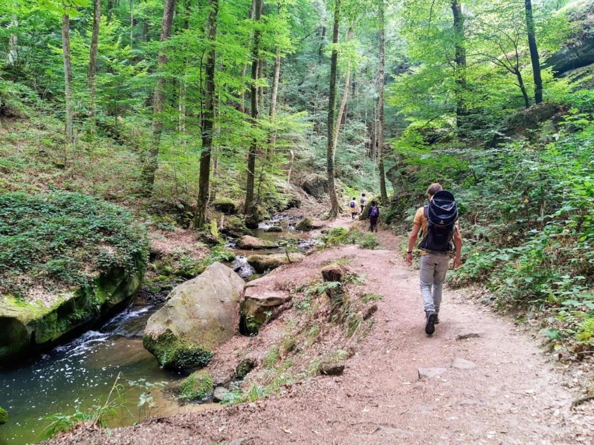 Nice Tent Lodge On A Campsite, Adjacent To The Forest, 27 Km From Luxembourg Medernach エクステリア 写真